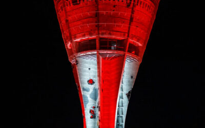 VUKOVARU S LJUBAVLJU