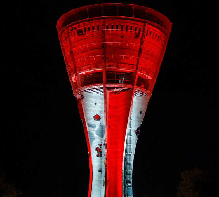 VUKOVARU S LJUBAVLJU