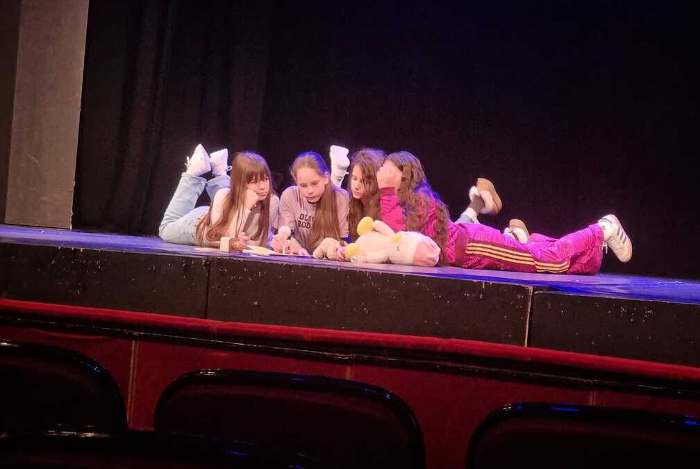 Uspjeh na županijskom LiDraNu