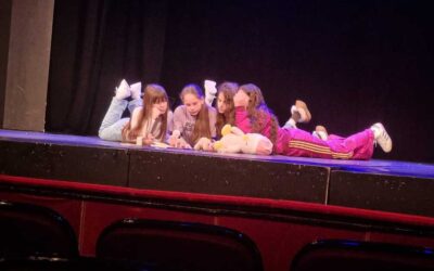 Uspjeh na županijskom LiDraNu